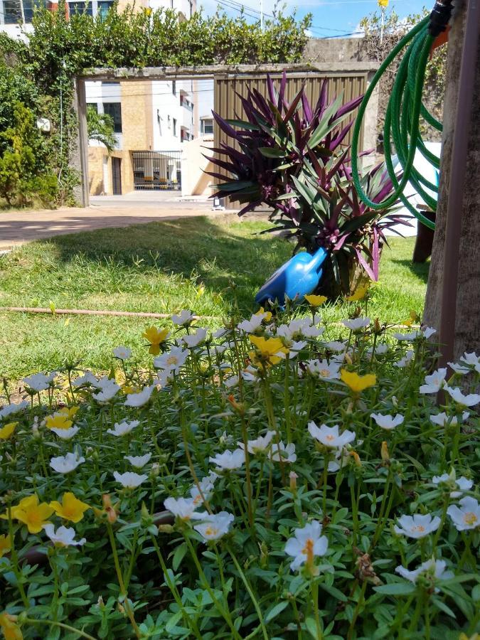 Hostel Consciente Aracaju Ngoại thất bức ảnh